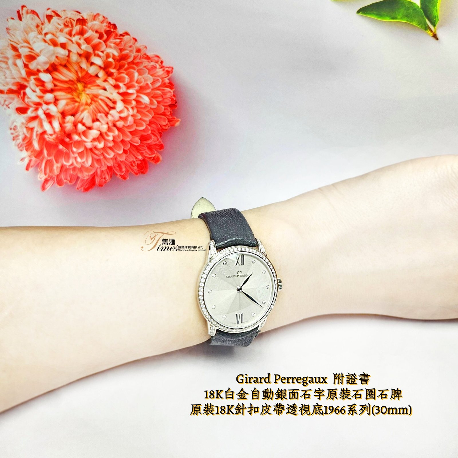 Girard Perregaux 18K白金自動銀面石字原裝石圈石脾原裝18K針扣皮帶透視底1966系列(30mm) - Image 3